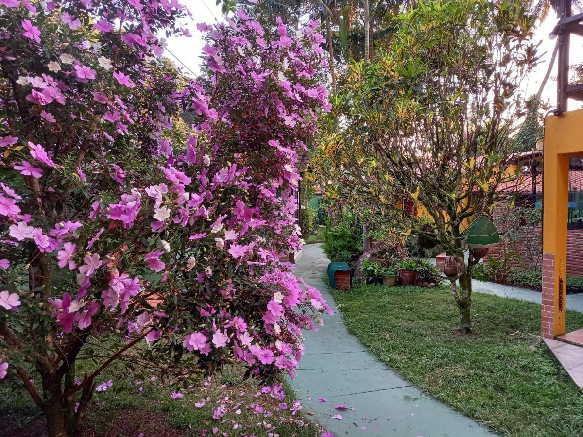 Recanto Das Flores Lofts - Ilha Grande Rj Exteriör bild